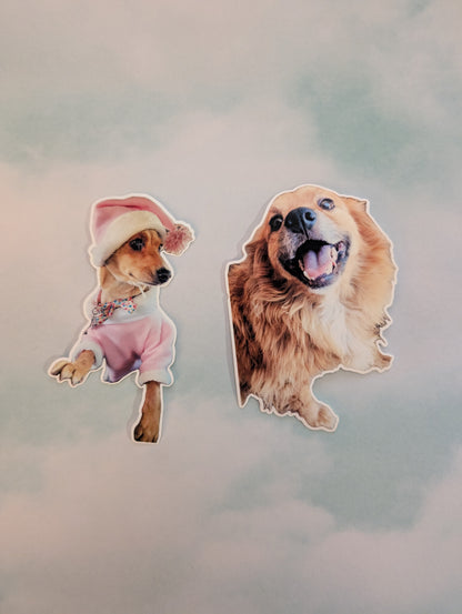 Personalized Dog Stickers